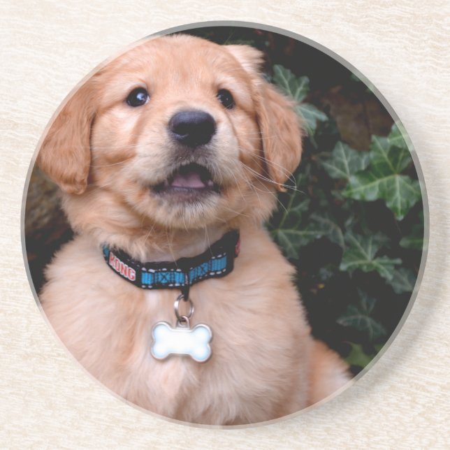 Niedlicher Welpenhund Golden Retriever Welpe Getränkeuntersetzer (Vorne)