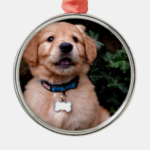 Niedlicher Welpenhund Golden Retriever Welpe Silbernes Ornament