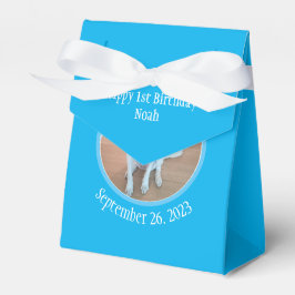 Niedlicher Welpenhund in Blue Scarf Happy 1. Gebur Geschenkschachtel