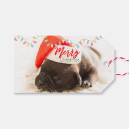 Niedlicher Welpenhund in einer Roten Weihnachtsman Geschenkanhänger
