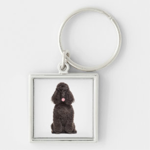 Niedlicher Welpenhund Lover Black Poodle Schlüsselanhänger