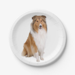Niedlicher Welpenhund Lover Collie Pappteller