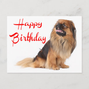 Niedlicher Welpenhund Lover Pekinese Geburtstag Postkarte
