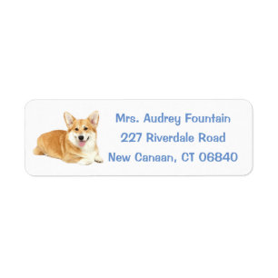 Niedlicher Welpenhund Lover Pembroke Welsh Corgi