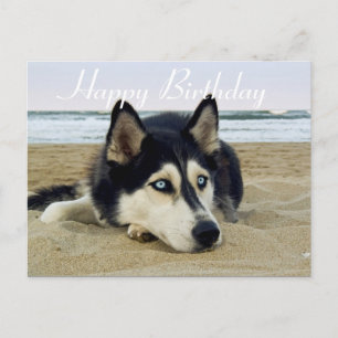 Niedlicher Welpenhund Lover Sibirischer Husky Gebu Postkarte