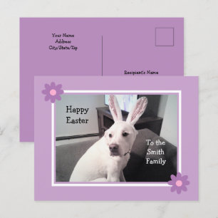 Niedlicher Welpenhund Ostersonnige Ohren Postkarte