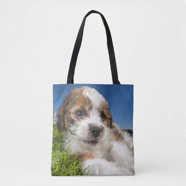 Niedlicher Welpenhund (Shitzu) Tasche (Vorderseite)
