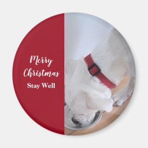 Niedlicher Welpenhund trinkt Wasser Weihnachten Ro Magnet