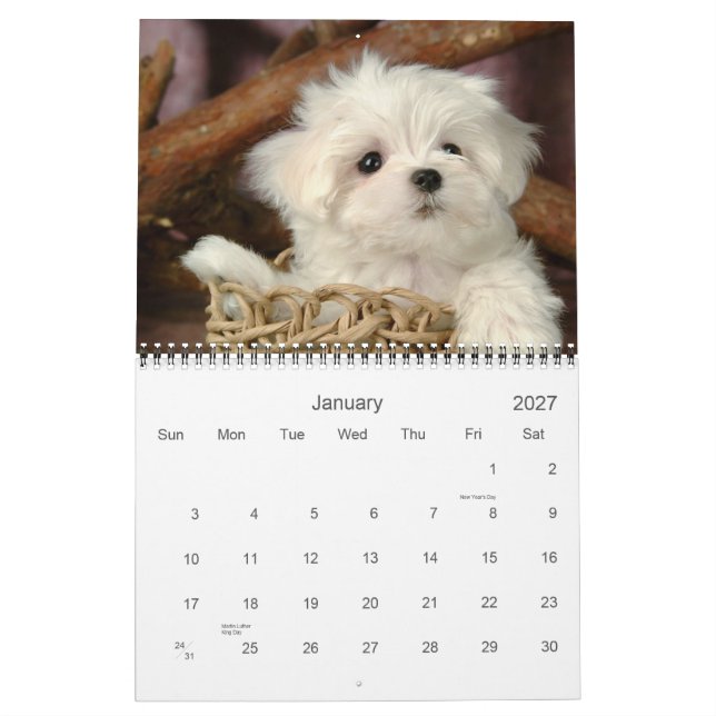 Niedlicher Welpenkalender Kalender (Jan 2027)