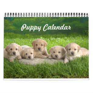 Niedlicher Welpenkalender Kalender