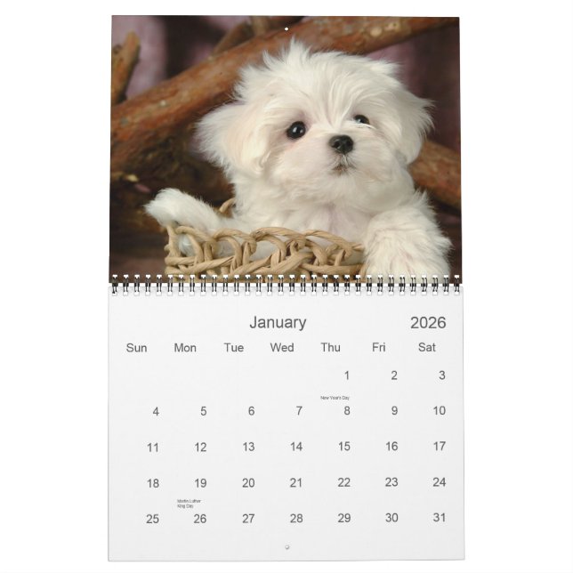 Niedlicher Welpenkalender Kalender (Jan 2026)