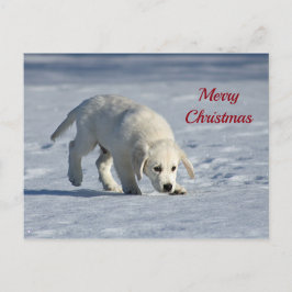 Niedlicher Welpenschnee Foto Weihnachten Postkarte