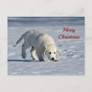 Niedlicher Welpenschnee Foto Weihnachten Postkarte