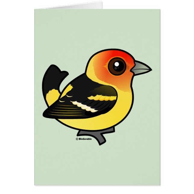 Niedlicher Western Tanager (Vorne)