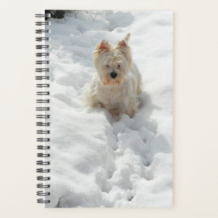 Niedlicher Westie Hund im Schneeplaner Planer