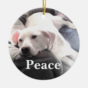 Niedlicher White Dog Peace Keramik Ornament