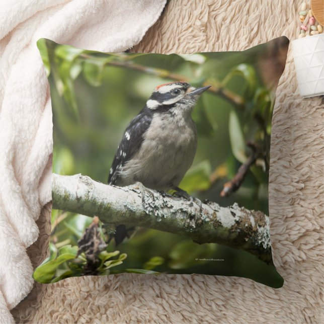 Niedlicher Woodpecker-Vogel in Birnbaum Kissen (Decke)
