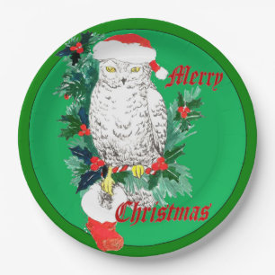Niedlicher wunderlicher Weihnachtseulen-Strumpf Pappteller