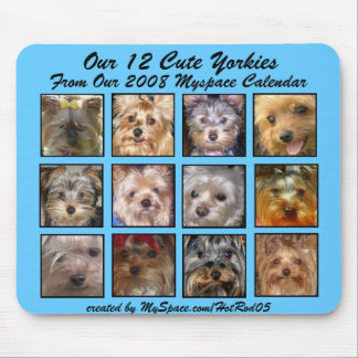 NIEDLICHER YORKIES 2008 KALENDER (auf einem Mousepad