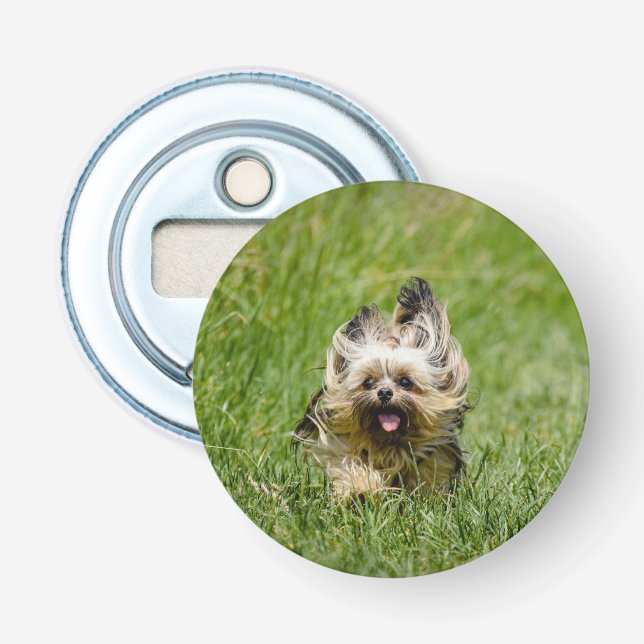 Niedlicher Yorkshire Terrier, der durch Gras läuft Flaschenöffner (Vorderseite)