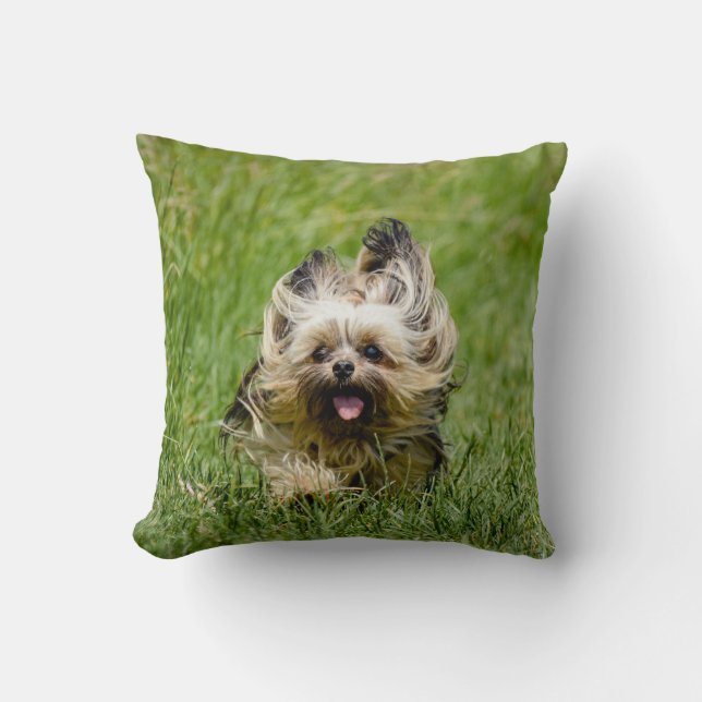 Niedlicher Yorkshire Terrier, der durch Gras läuft Kissen (Vorderseite)