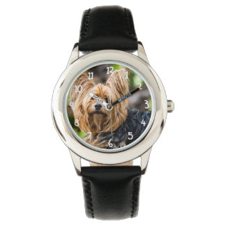 Niedlicher Yorkshire Terrier Dog im Garten Armbanduhr