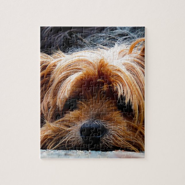 Niedlicher Yorkshire-Terrier-Hund (Vertikal)