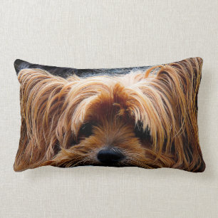 Niedlicher Yorkshire-Terrier-Hund Lendenkissen