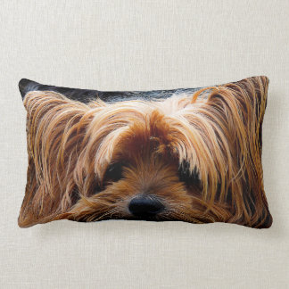 Niedlicher Yorkshire-Terrier-Hund Lendenkissen
