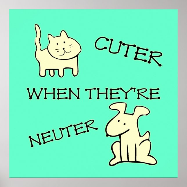 Niedlicheres Poster (Vorne)