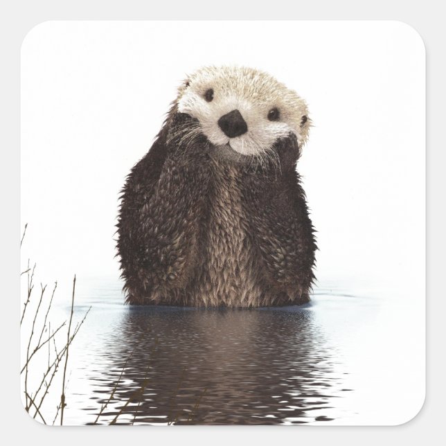 Niedliches Adorable Fluffy Otter Animal Quadratischer Aufkleber (Vorderseite)