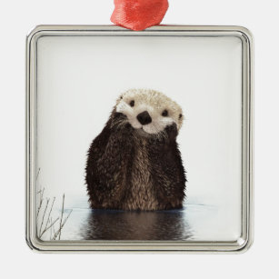 Niedliches Adorable Fluffy Otter Animal Silbernes Ornament