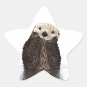 Niedliches Adorable Fluffy Otter Animal Stern-Aufkleber