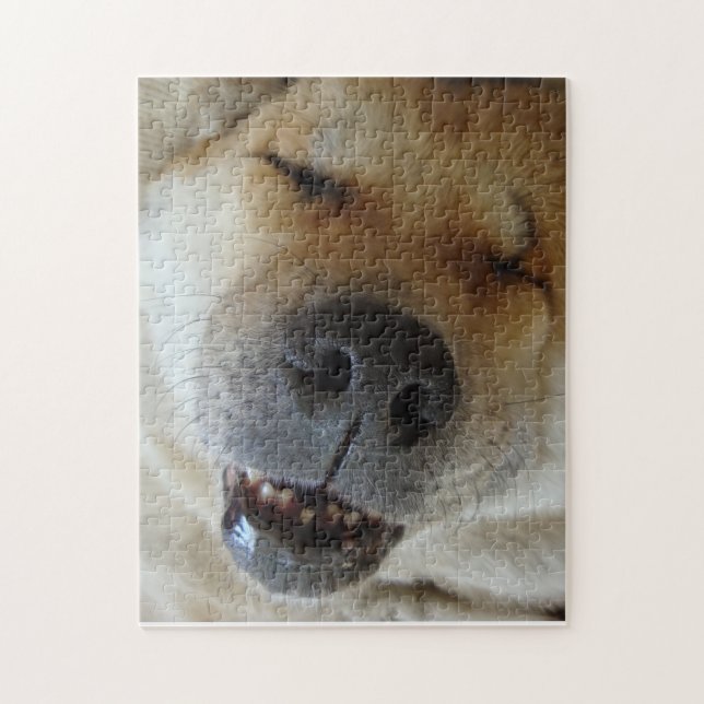 niedliches akita asleep lustiges lächelndes Hundeb (Vertikal)