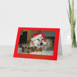 Niedliches Akita in der roten Weihnachtsmannmütze Feiertagskarte