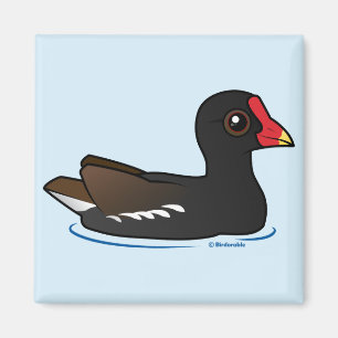 Niedliches allgemeines Gallinule Magnet