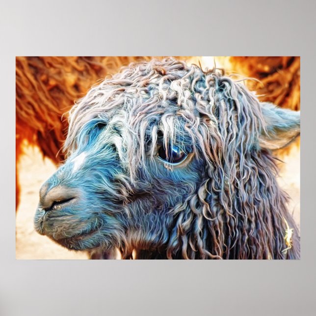 Niedliches Alpaca Baby in Blue Poster (Vorne)