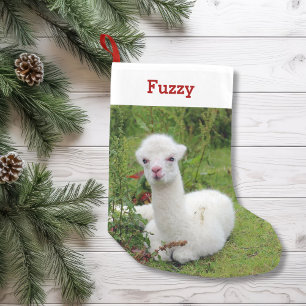 Niedliches Alpaka-Liebhaber-Haustier-Foto und Name Kleiner Weihnachtsstrumpf