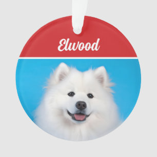 Niedliches amerikanisches Eskimo Dog Weihnachtsfes Ornament
