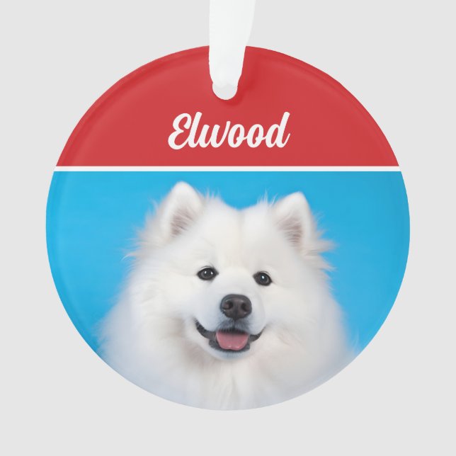 Niedliches amerikanisches Eskimo Dog Weihnachtsfes Ornament (Vorderseite)