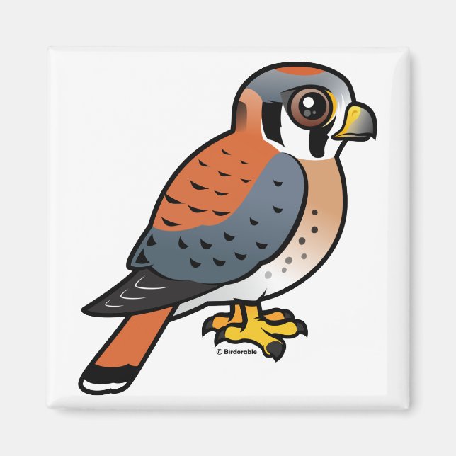 Niedliches amerikanisches Kestrel Magnet (Vorne)