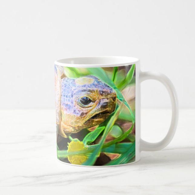 Niedliches Angulate Tortoise Südafrika Details Kaffeetasse (Rechts)