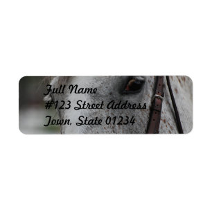 Niedliches Appaloosa Horse Mailing Label