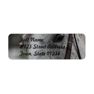 Niedliches Appaloosa Horse Mailing Label