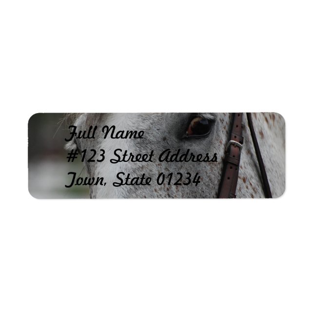 Niedliches Appaloosa Horse Mailing Label (Vorne)