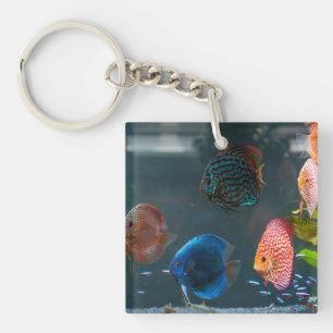 Niedliches Aquarium Schlüsselanhänger