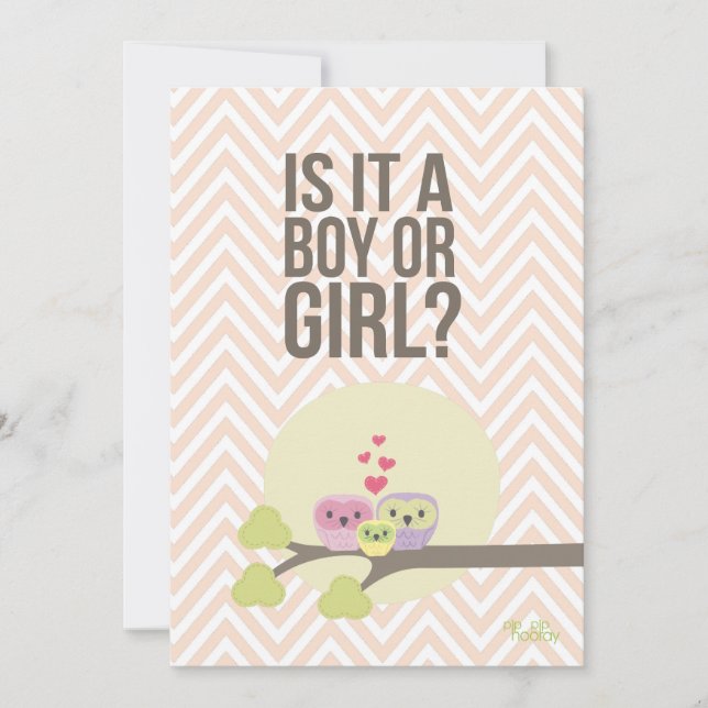 Niedliches Baby-Baby-Gender-Party einladen Einladung (Vorderseite)