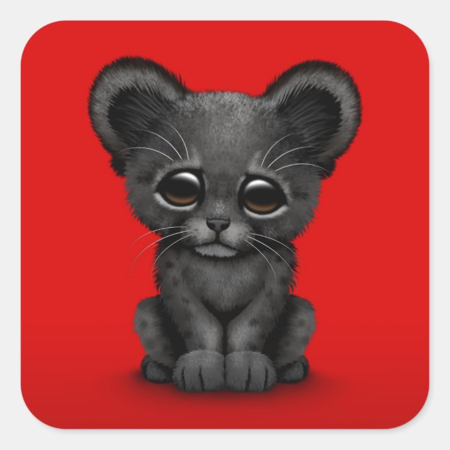 Niedliches Baby Black Panther Cub on Red Quadratischer Aufkleber (Vorderseite)