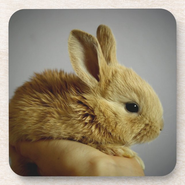 Niedliches Baby Bunny Kanbit in der Hand Getränkeuntersetzer (Vorderseite)