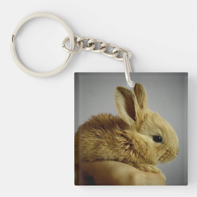 Niedliches Baby Bunny Kanbit in der Hand Schlüsselanhänger (Vorderseite)